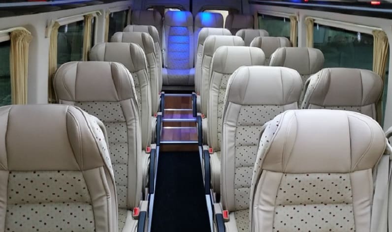 Austria: Coach company in Lower Austria in Lower Austria and Waidhofen an der Ybbs